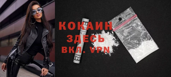 дживик Пересвет