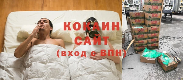 твердый Алексин