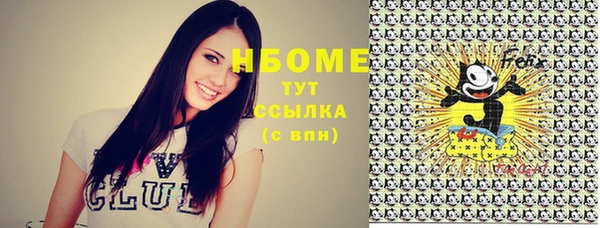 твердый Алексин