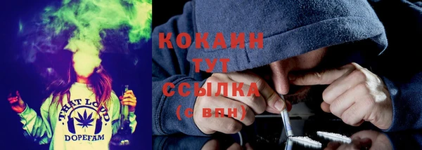 дживик Пересвет
