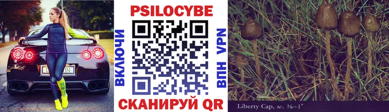 Галлюциногенные грибы Psilocybine cubensis  Зеленоградск 